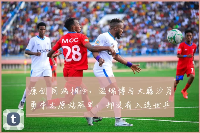 原创 同病相怜，温瑞博与大藤沙月勇夺太原站冠军，却没有入选世乒赛