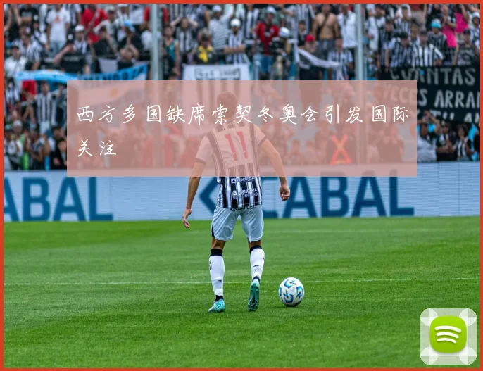 西方多国缺席索契冬奥会引发国际关注