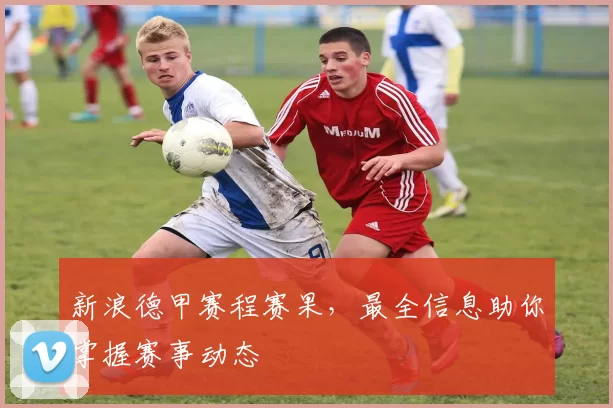 新浪德甲赛程赛果，最全信息助你掌握赛事动态